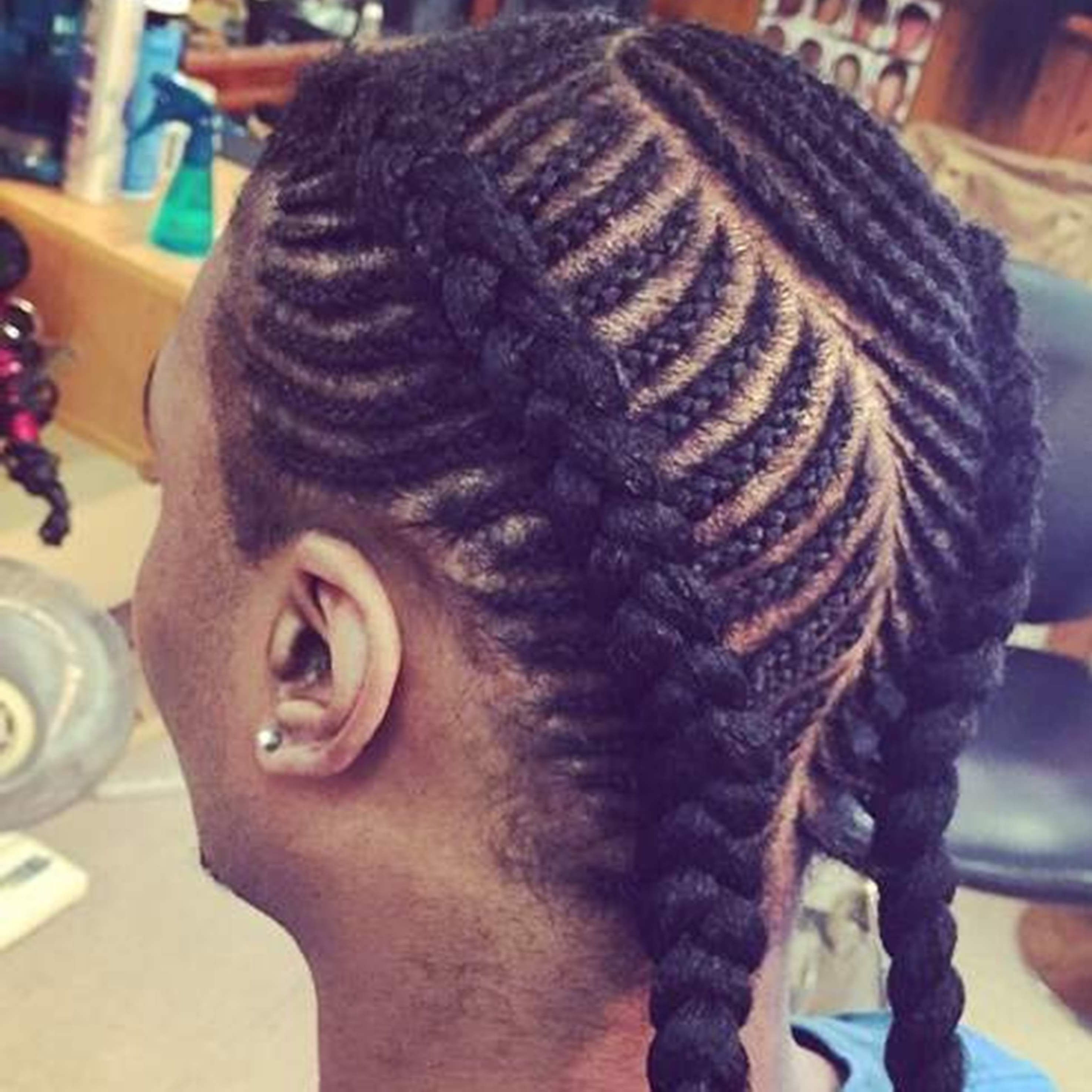 Fashionable Long Curvy Braids Hairstyles Intended For Braids For Men (View 9 of 15)