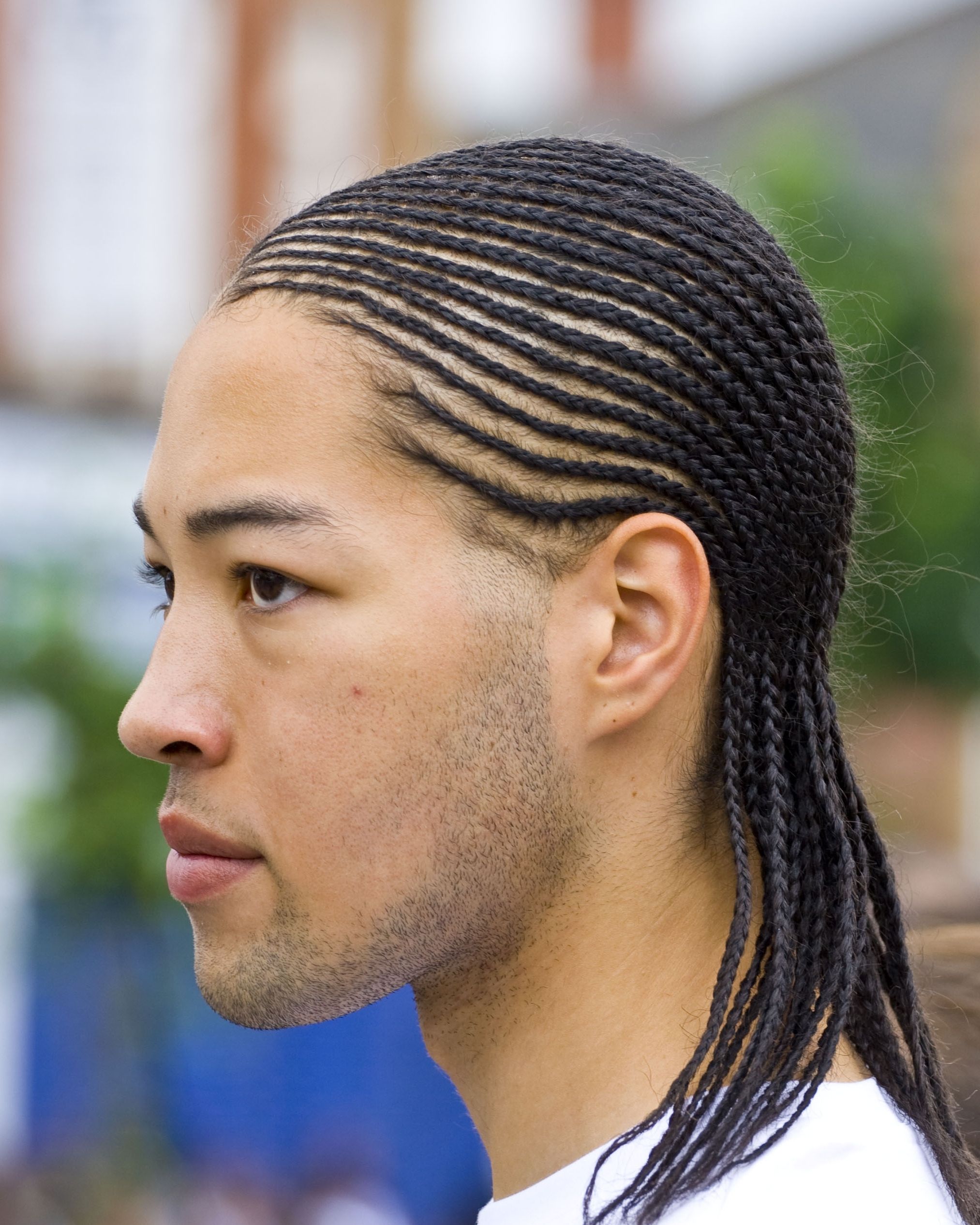 Mens Cornrows Hairstyle (View 8 of 15)