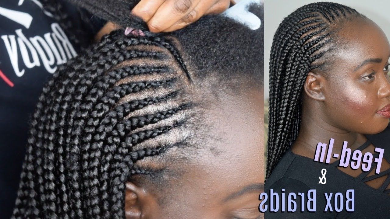 Most Recent Cleopatra Style Natural Braids With Beads In Tribal Feed In Braids W/ Box Braids Tutorial (very Detailed) – Youtube (View 15 of 15)