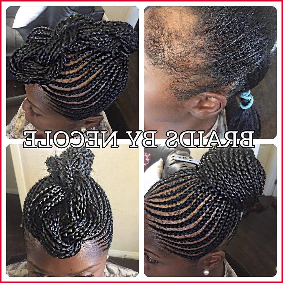 Most Up To Date Cornrows Hairstyles With No Edges Pertaining To Braided Hairstyles For No Edges 124871 14 Extraordinary Alopecia (View 12 of 15)