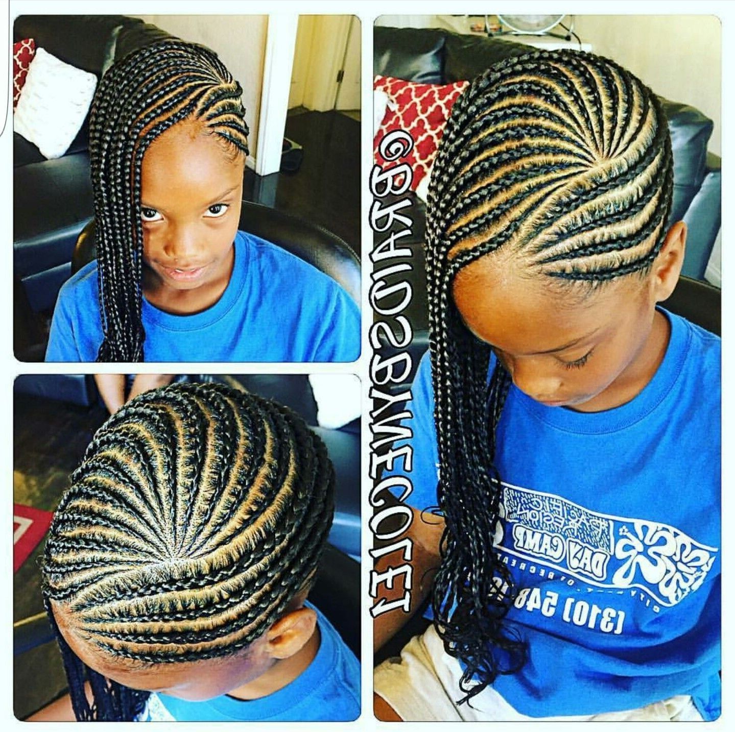 Natural Hair Style Braids (View 6 of 15)