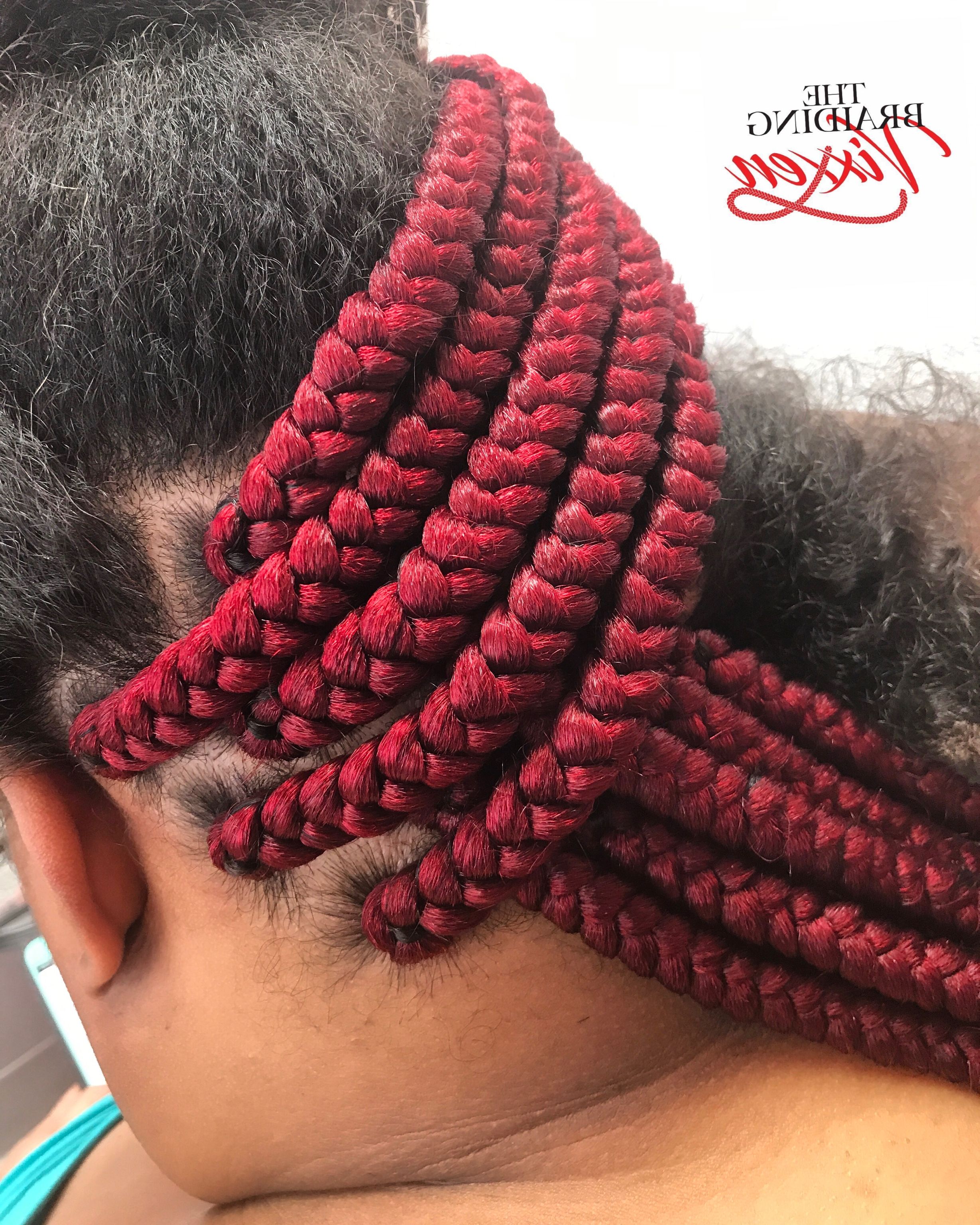 Pinterest For Current Thin Black Box Braids With Burgundy Highlights (View 14 of 15)