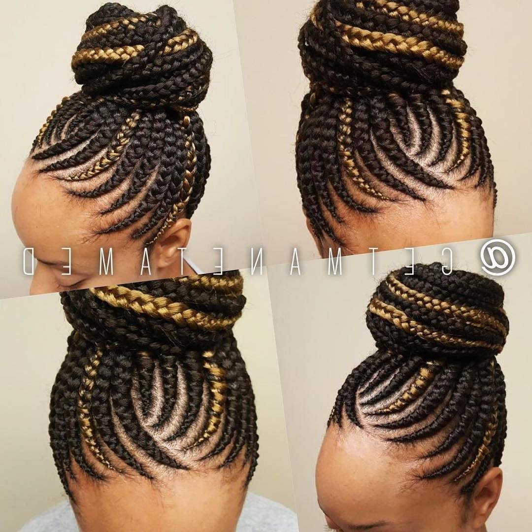 Pinterest With Most Current Ghana Braids Bun Hairstyles (View 2 of 15)