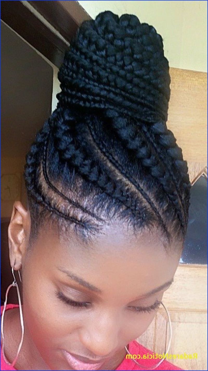 African Braided Hairstyles African Ponytail Cornrow Allhairmakeover With Regard To 2017 Micro Braid Ponytail Hairstyles (View 17 of 20)