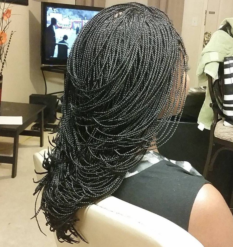 Favorite Black Layered Senegalese Twists Pony Hairstyles In 40 Ideas Of Micro Braids, Invisible Braids And Micro Twists (Gallery 19 of 20)