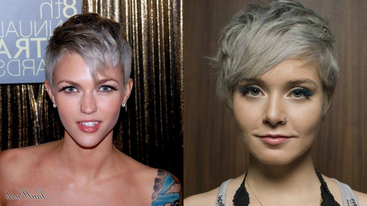 Latest Silver And Brown Pixie Hairstyles Pertaining To Winter Fit: Extravagant Silver Pixie Haircuts (View 9 of 20)