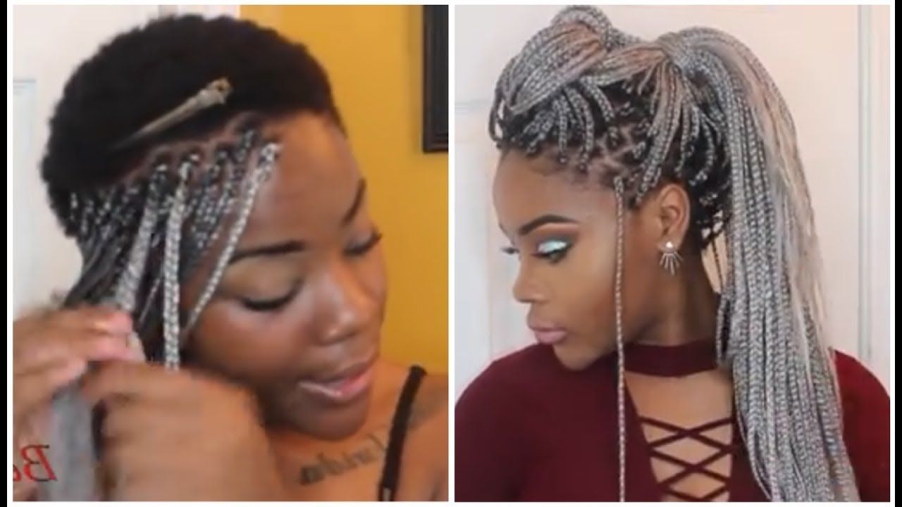 Most Recent Waist Length Ponytail Hairstyles With Bangs Intended For Box Braids On Extremely Short 4c Hair (View 11 of 20)
