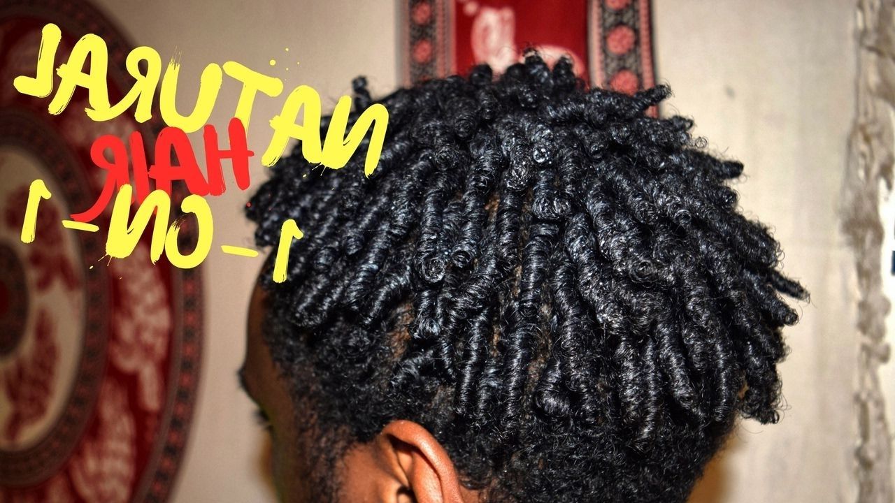 Most Up To Date Reverse French Braids Ponytail Hairstyles With Chocolate Coils Within How To: Defined Finger Coils (View 20 of 20)