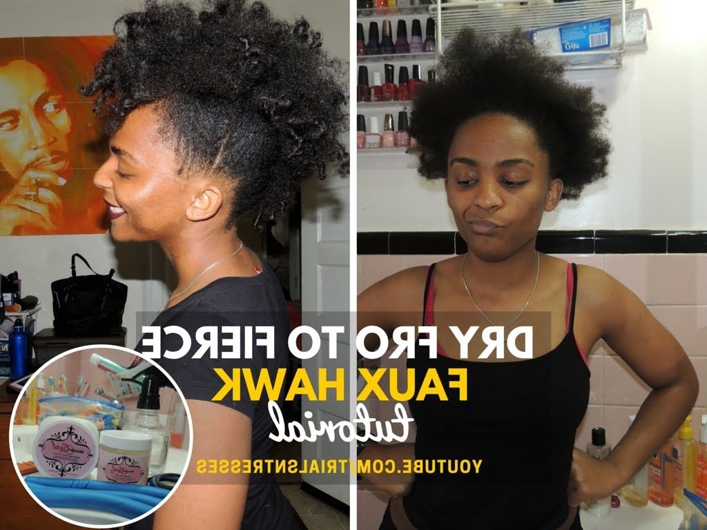 Recent Fierce Faux Mohawk Hairstyles Throughout Dry Afro To Fierce Faux Hawk Tutorial (short/ Medium Length Natural (View 1 of 20)