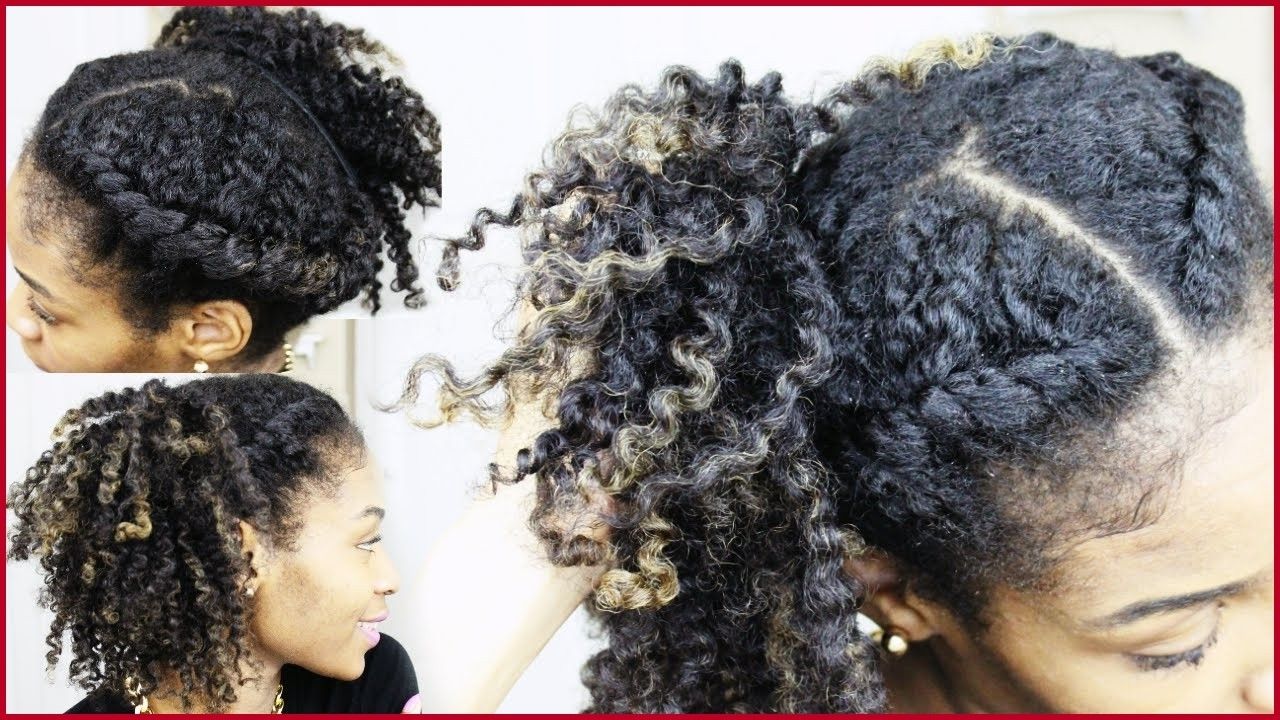 Well Known Twisted Side Ponytail Hairstyles With Regard To Black Natural Hairstyles Twists 11285 Natural Hair Twist Out (View 8 of 20)