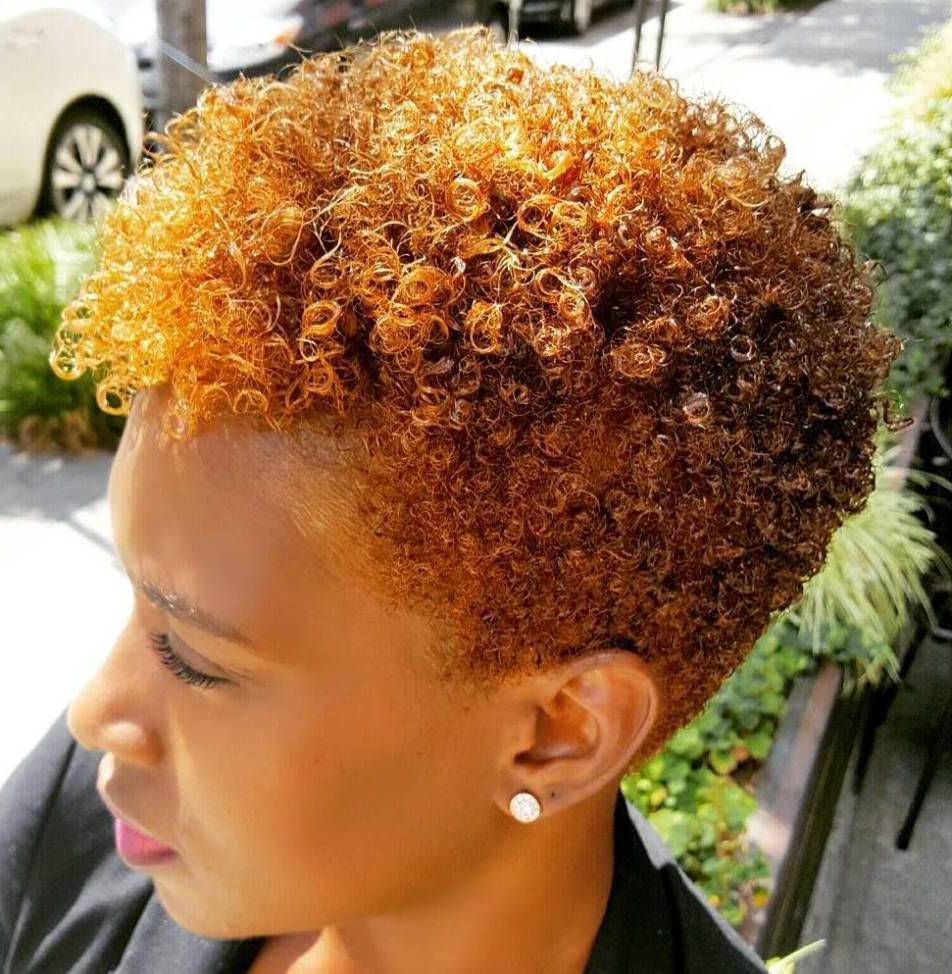 40 Cute Tapered Natural Hairstyles For Afro Hair In 2018 | Natural Intended For Curly Golden Brown Pixie Hairstyles (View 14 of 20)