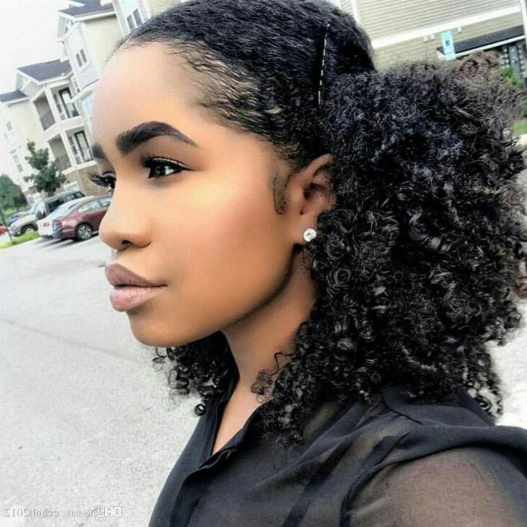 Best And Newest Naturally Curly Ponytail Hairstyles Within Afro Kinky Curly Human Hair Ponytail Extensions Kinky Curly (View 13 of 20)