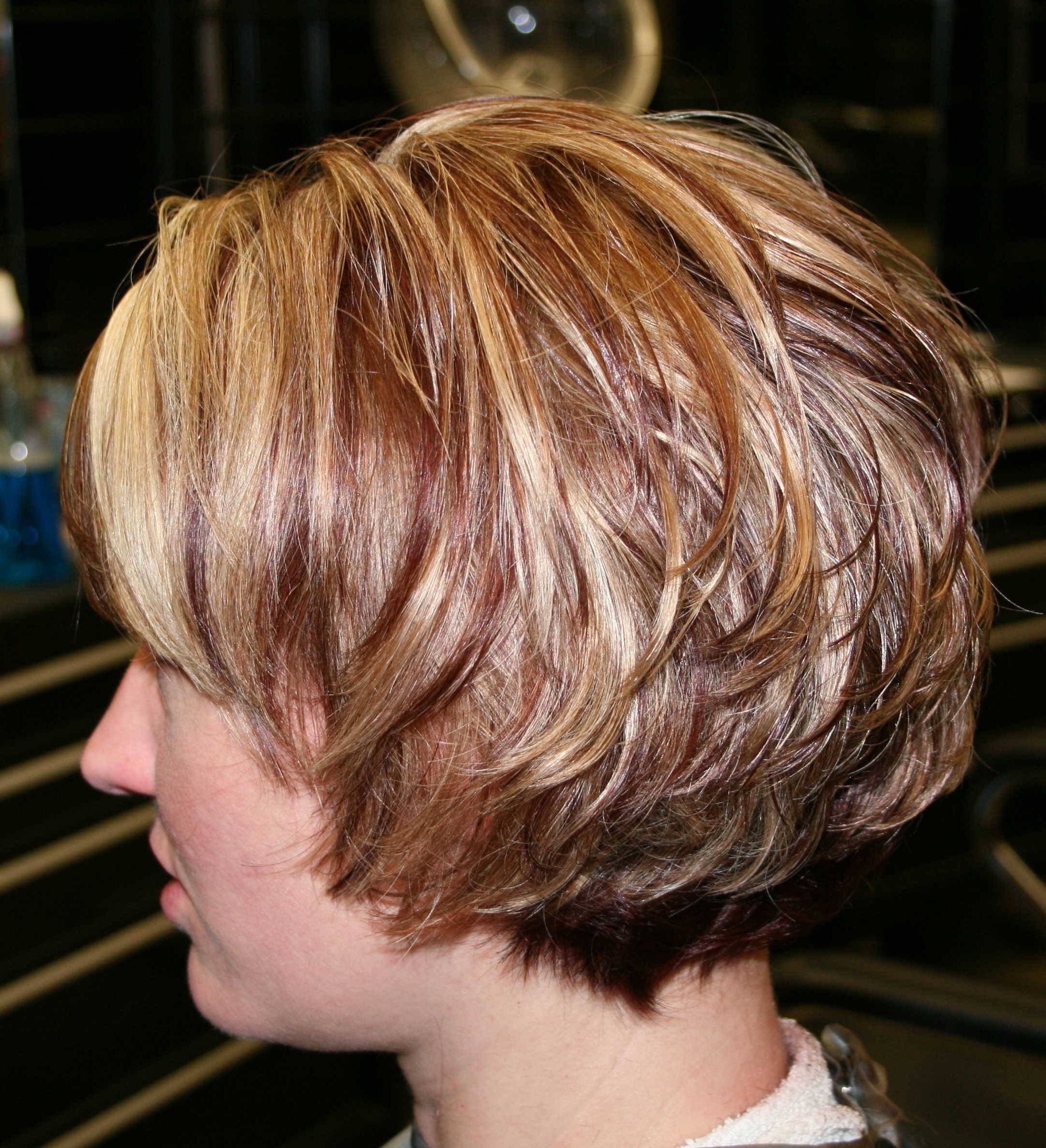 Short Layered Bob Hairstyles For Thick Hair – Hairstyle For Women & Man With Regard To Layered Bob Hairstyles For Thick Hair (View 2 of 20)