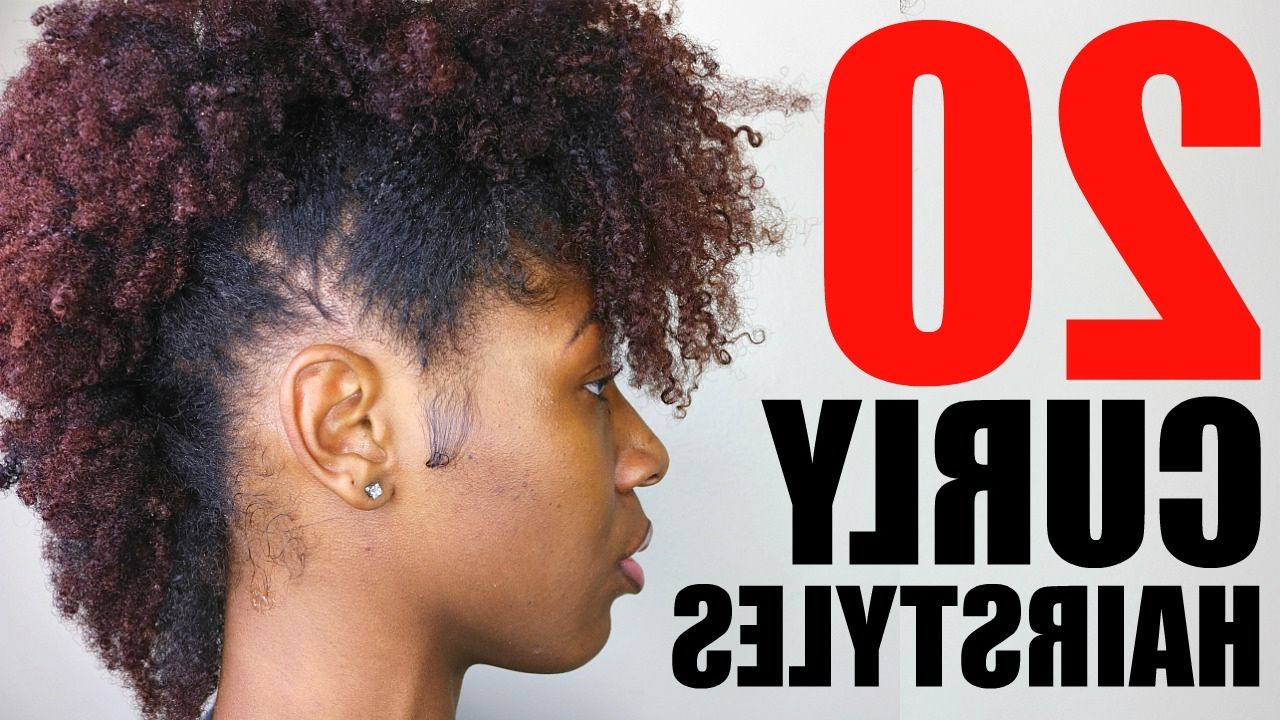 20 Curly/ Natural Hairstyles (View 10 of 20)