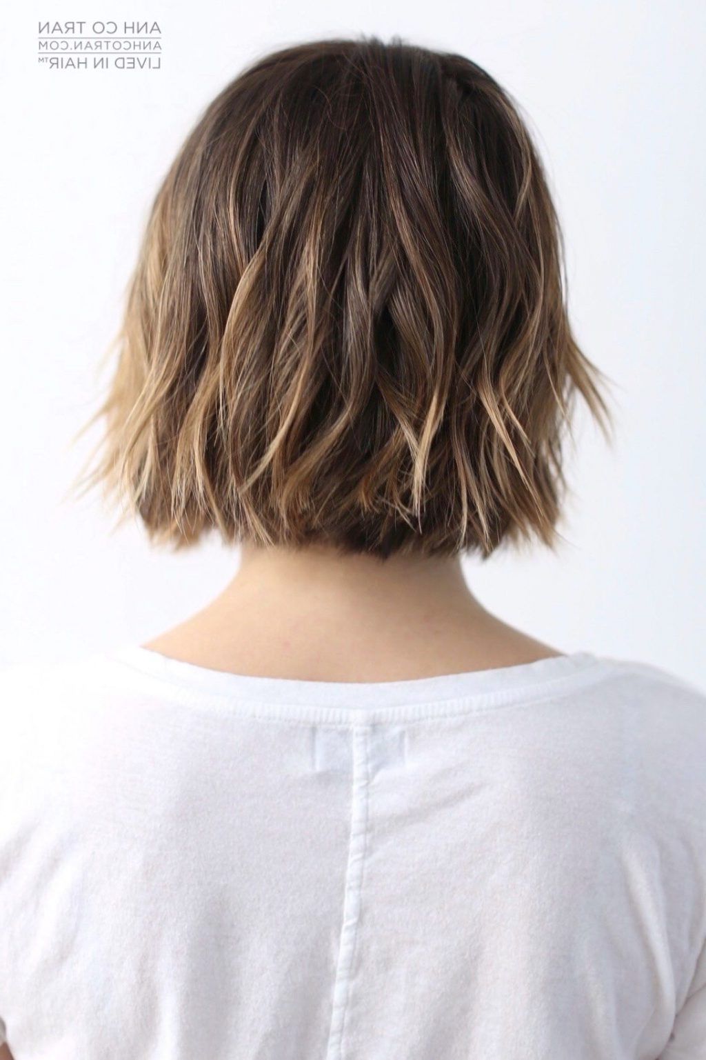 Choppy Bob Hairstyles Back View Photos Sophia Bush Pinteres On Throughout Best And Newest Sophia Bush Medium Hairstyles (View 16 of 20)