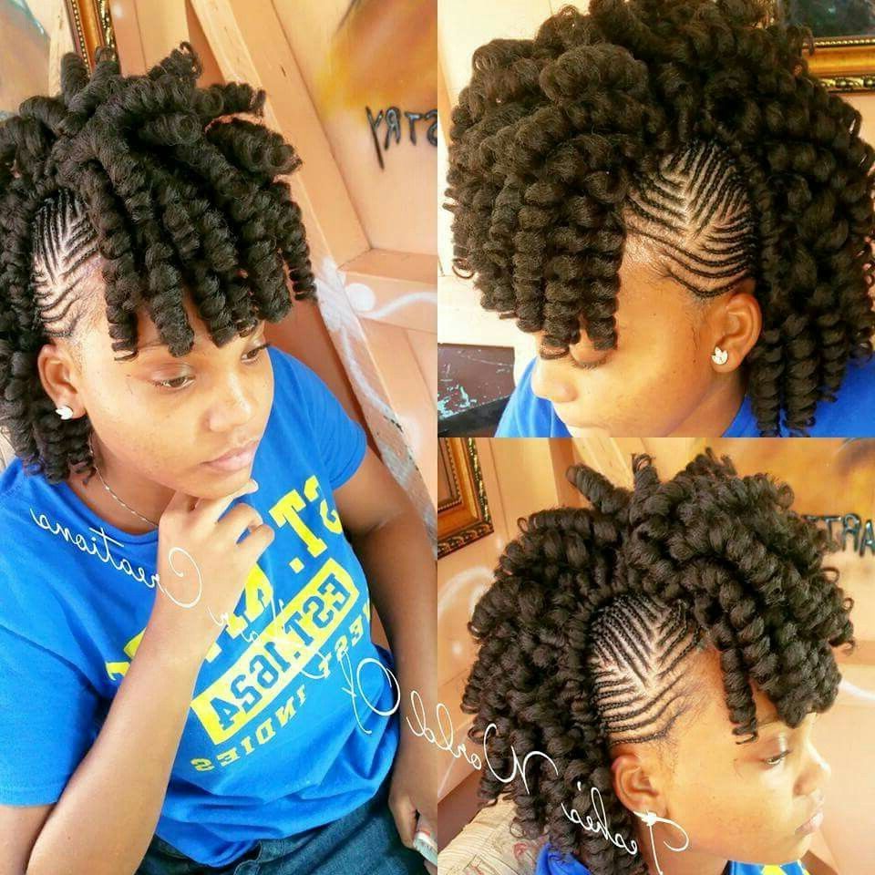Crochet Done With New Afro Twist Braid With Braided Sides Into A Intended For Popular Braids And Twists Fauxhawk Hairstyles (View 7 of 20)