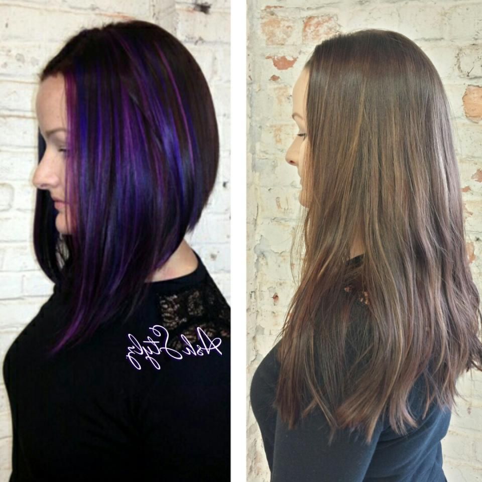Favorite Medium Angled Purple Bob Hairstyles With Long Hairstyle : Long Angled Bob Haircuts Back View Lucyh Latest (View 4 of 20)