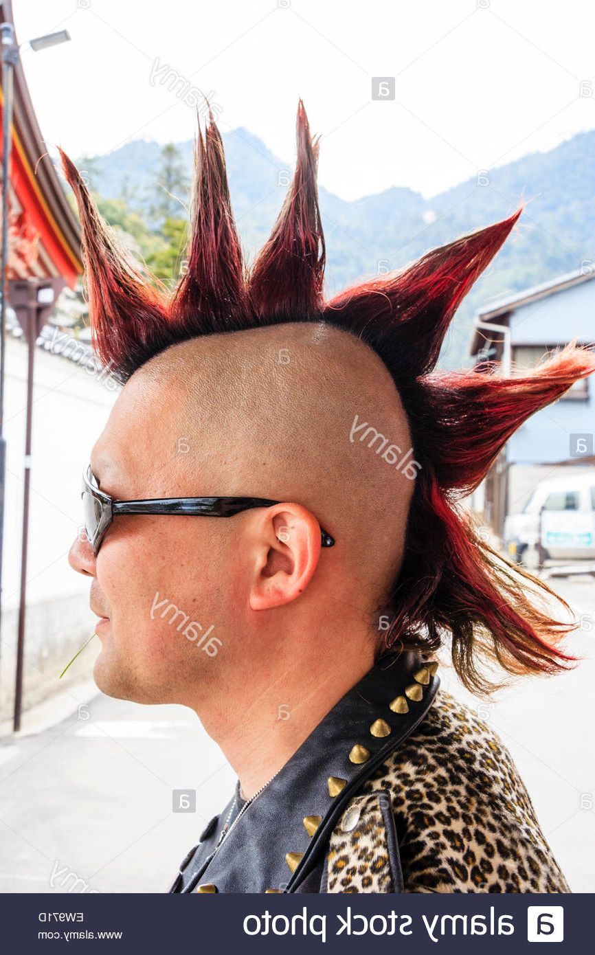 Most Recently Released Spikey Mohawk Hairstyles Pertaining To Man With Mohican Hairstyle Stock Photos & Man With Mohican Hairstyle (View 7 of 20)