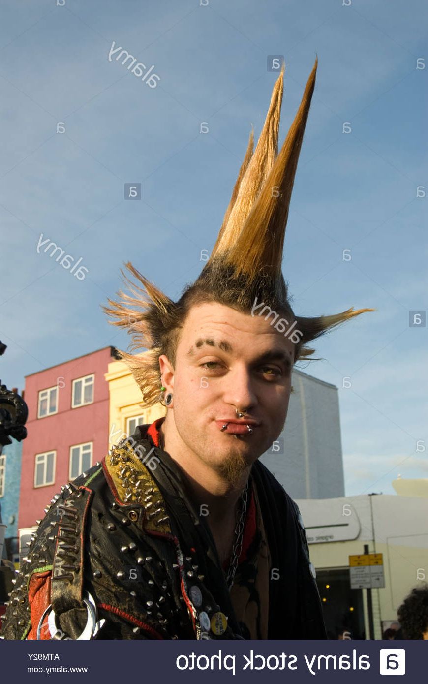 Spiky Hair Style Stock Photos & Spiky Hair Style Stock Images – Alamy For Trendy Spikey Mohawk Hairstyles (View 17 of 20)
