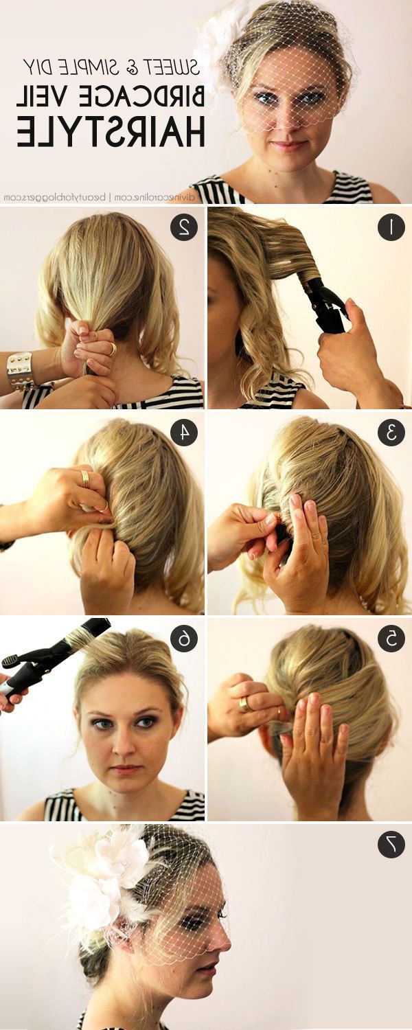 The Perfect Diy Birdcage Veil Hairstyle (View 8 of 20)