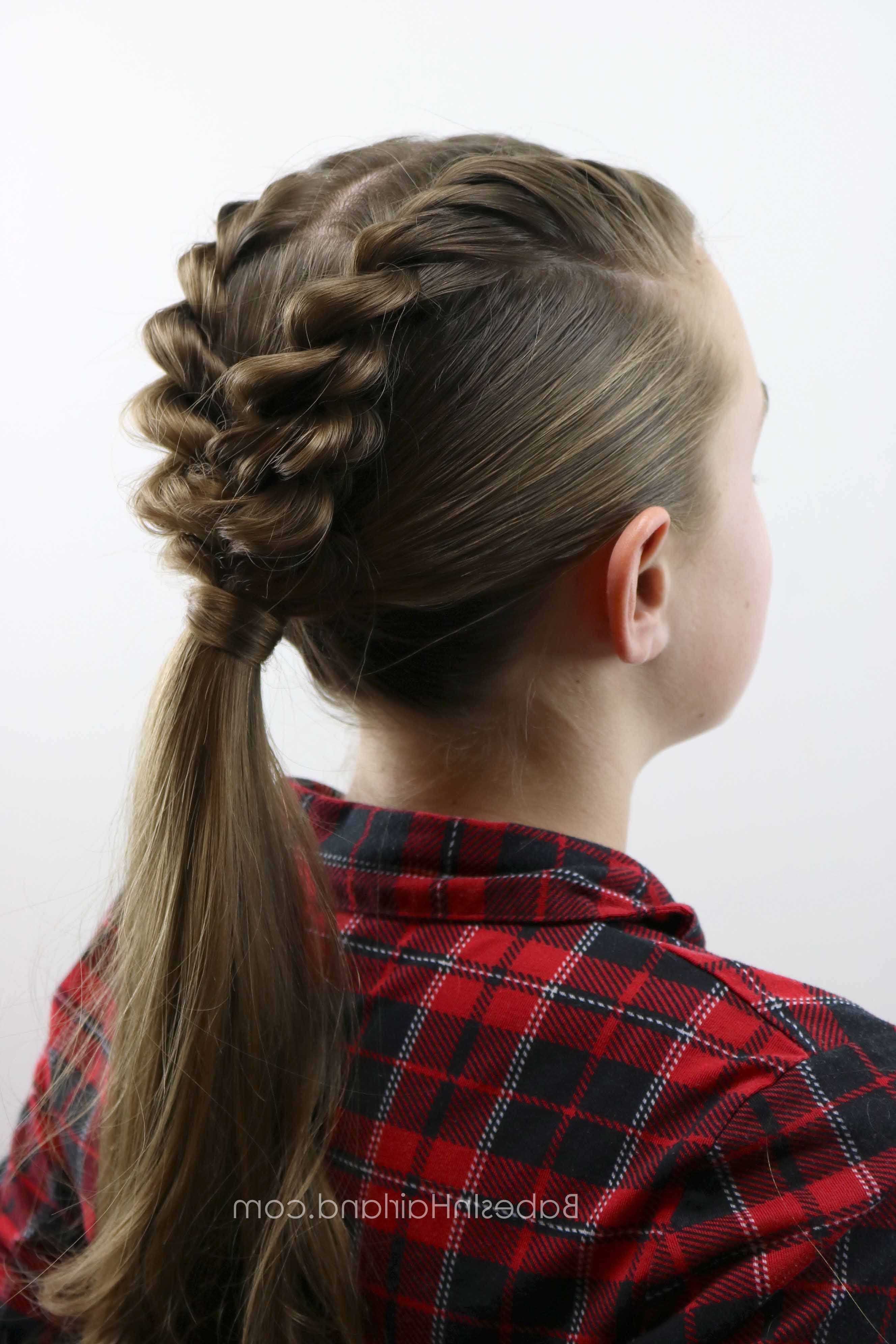 Hair Styles, French Pertaining To Well Liked Twist Into Ponytail Hairstyles (View 13 of 20)