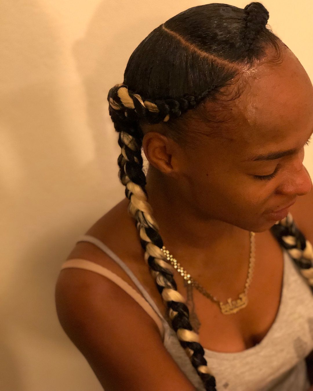 2019 Wrap Around Triangular Braided Hairstyles With 99 Two Braids And You've Got It Made (View 6 of 20)
