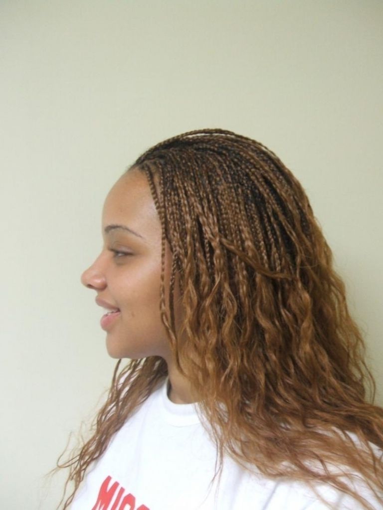 35 Micro Braids Hairstyles For African American Women For 2020 Red And Brown Micro Braid Hairstyles (View 11 of 20)