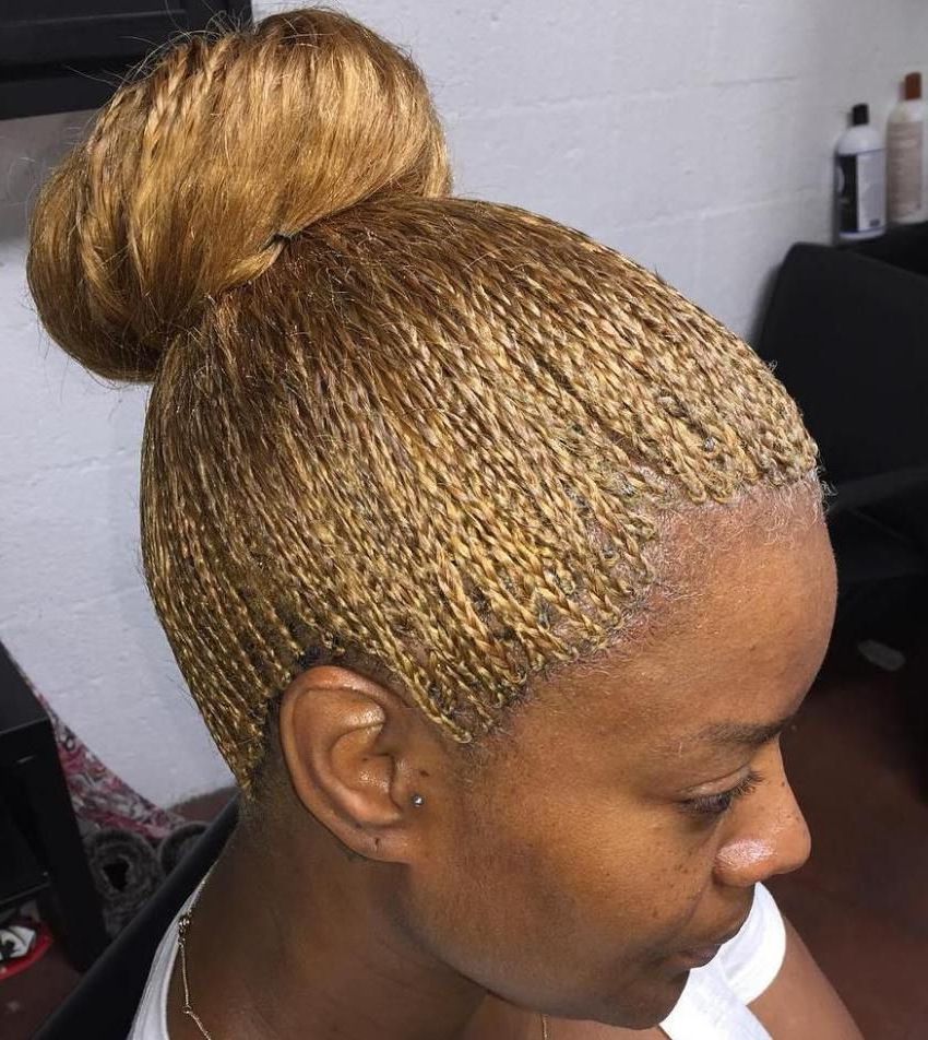 40 Ideas Of Micro Braids And Invisible Braids Hairstyles Inside Well Liked Straight Blonde Tree Micro Braid Hairstyles (View 2 of 20)