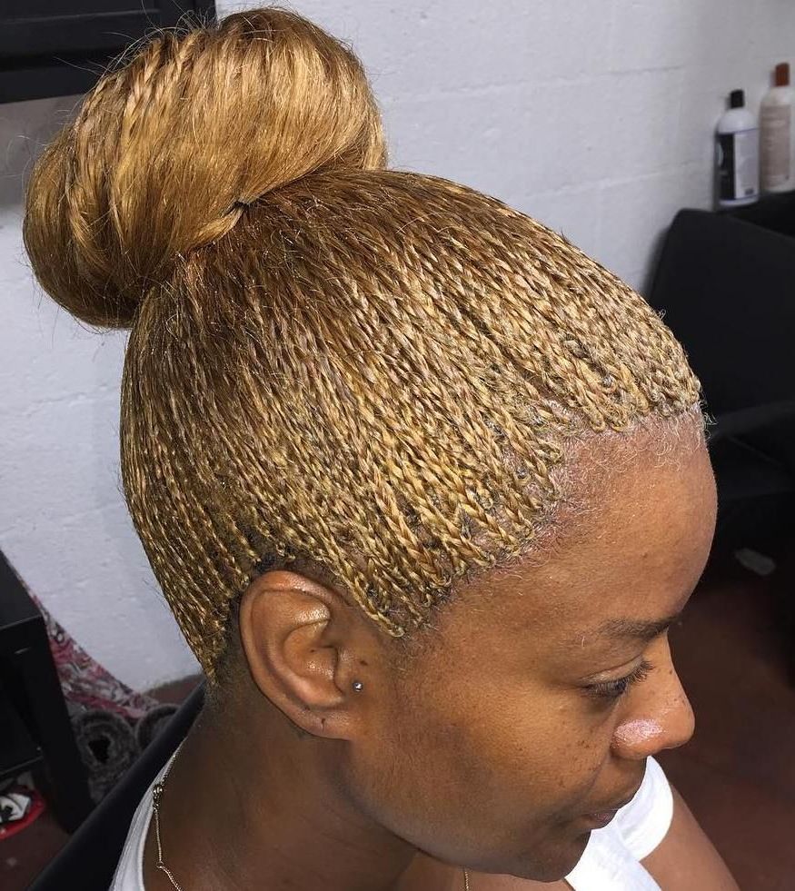 40 Ideas Of Micro Braids And Invisible Braids Hairstyles Pertaining To Newest High Half Up Bun Invisible Braids (View 8 of 20)