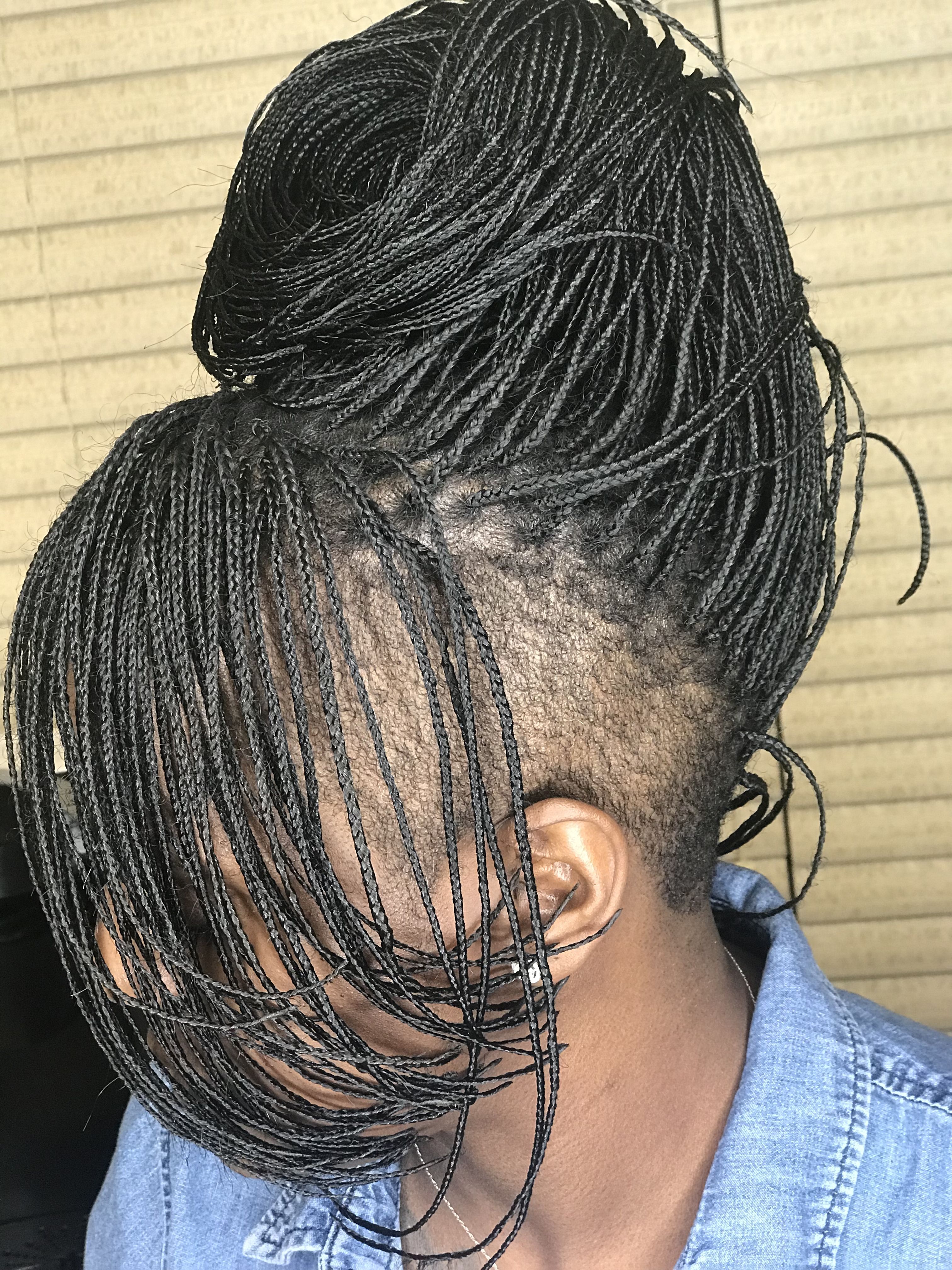 40 Ideas Of Micro Braids And Invisible Braids Hairstyles With Regard To Most Up To Date Undershave Micro Braid Hairstyles (View 5 of 20)