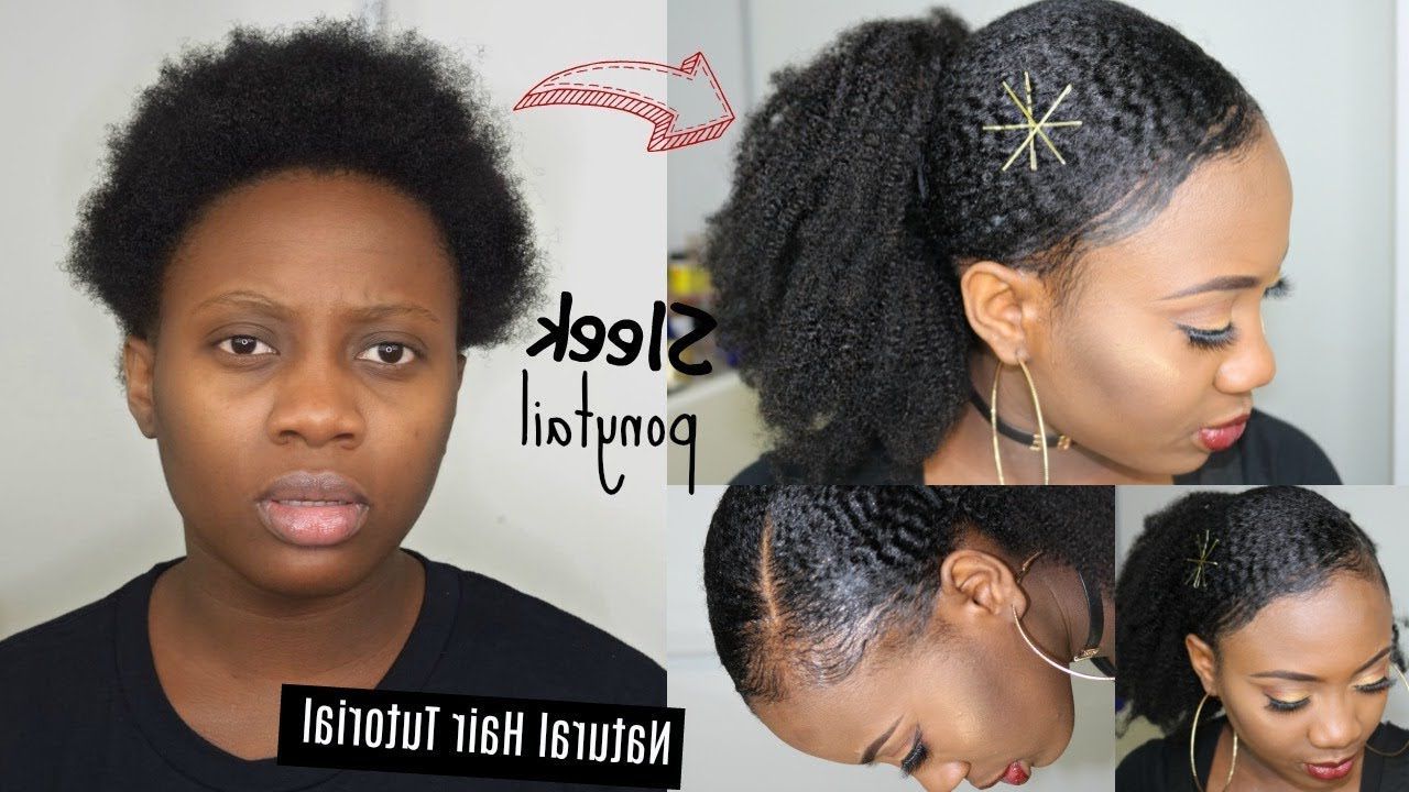 Best And Newest Natural High Ponytail Updo Hairstyles Intended For How To (View 16 of 20)