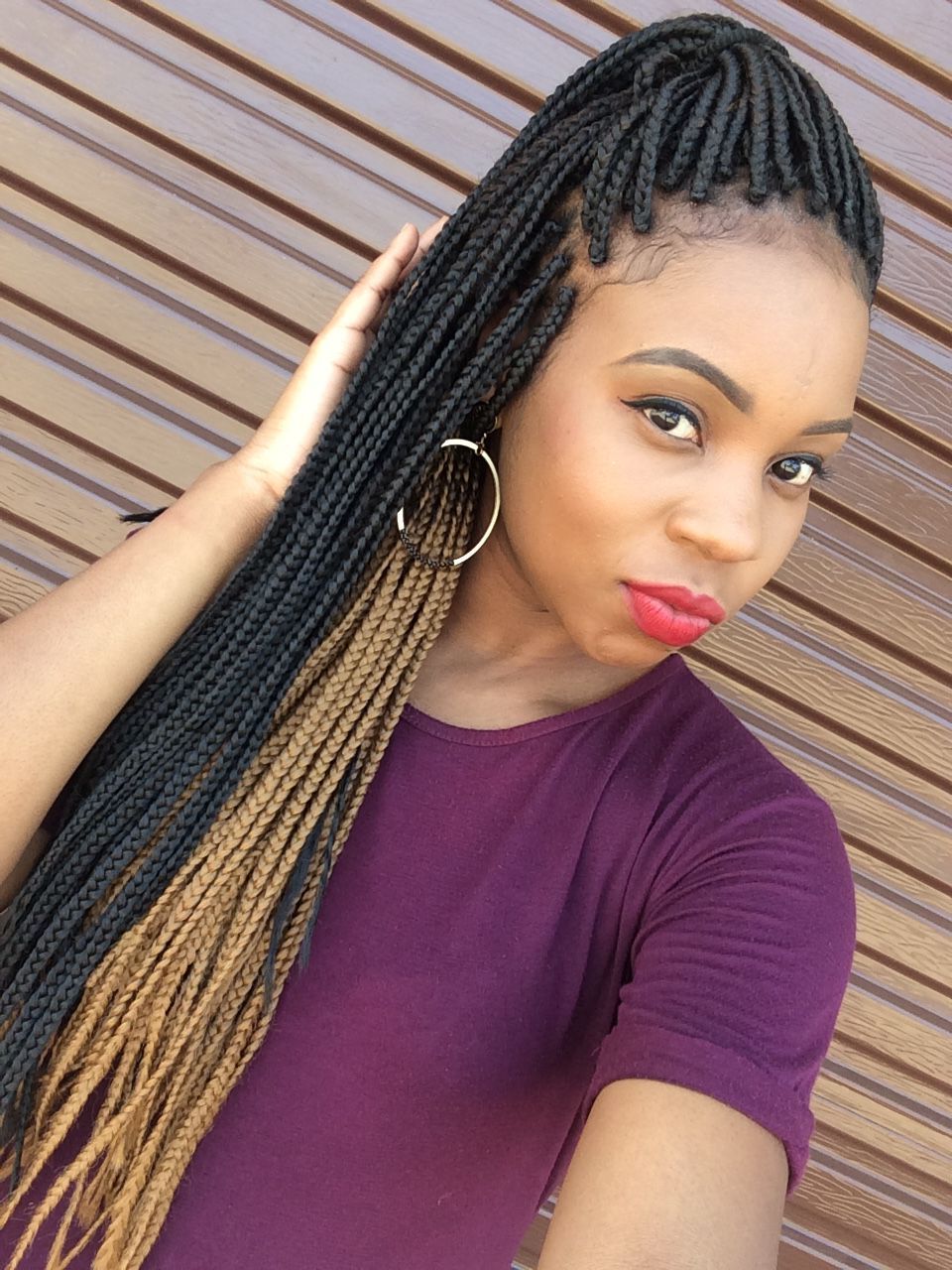 Blonde And Black Box Braids (View 6 of 20)