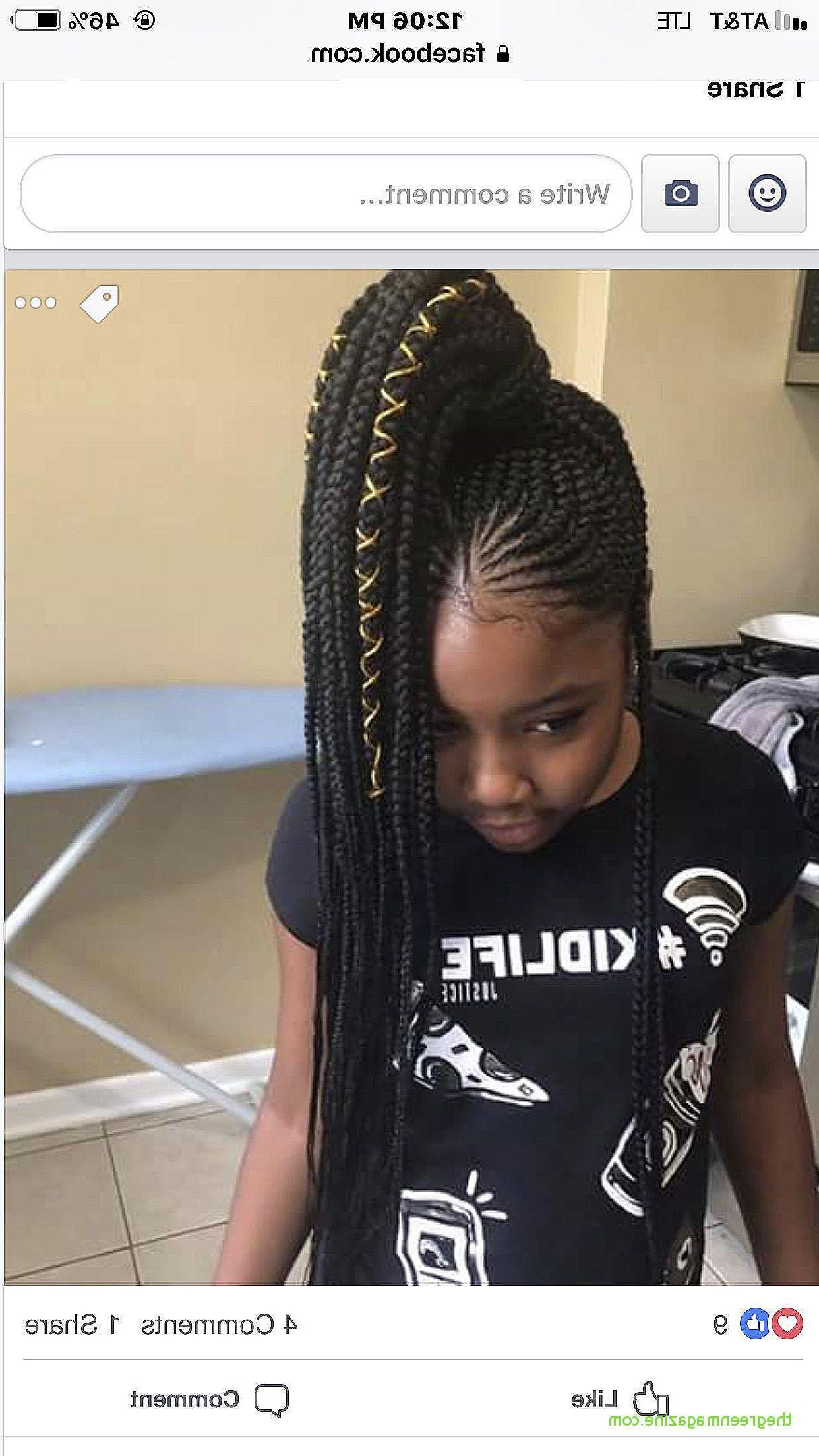 Braided Updos For Black Hair 2019 Beautiful Black Braided For Fashionable Lovely Black Braided Updo Hairstyles (View 14 of 20)
