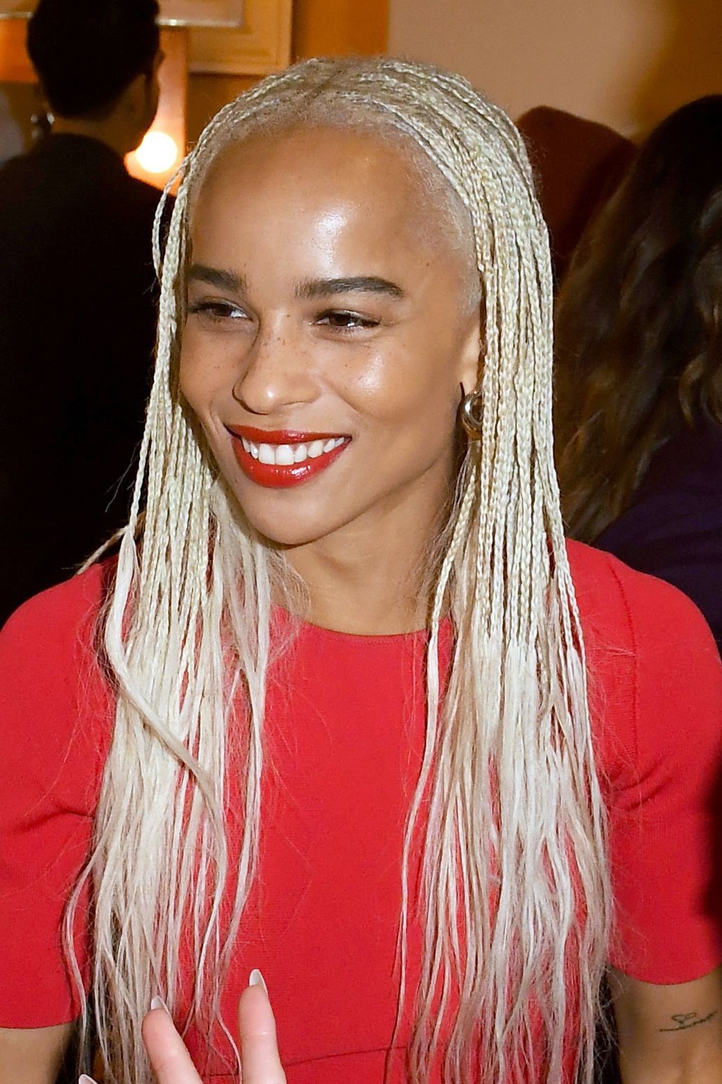 Braids And Twists 2019 – 14 Hairstyles From Crochet And Box Intended For Trendy Straight Blonde Tree Micro Braid Hairstyles (View 18 of 20)