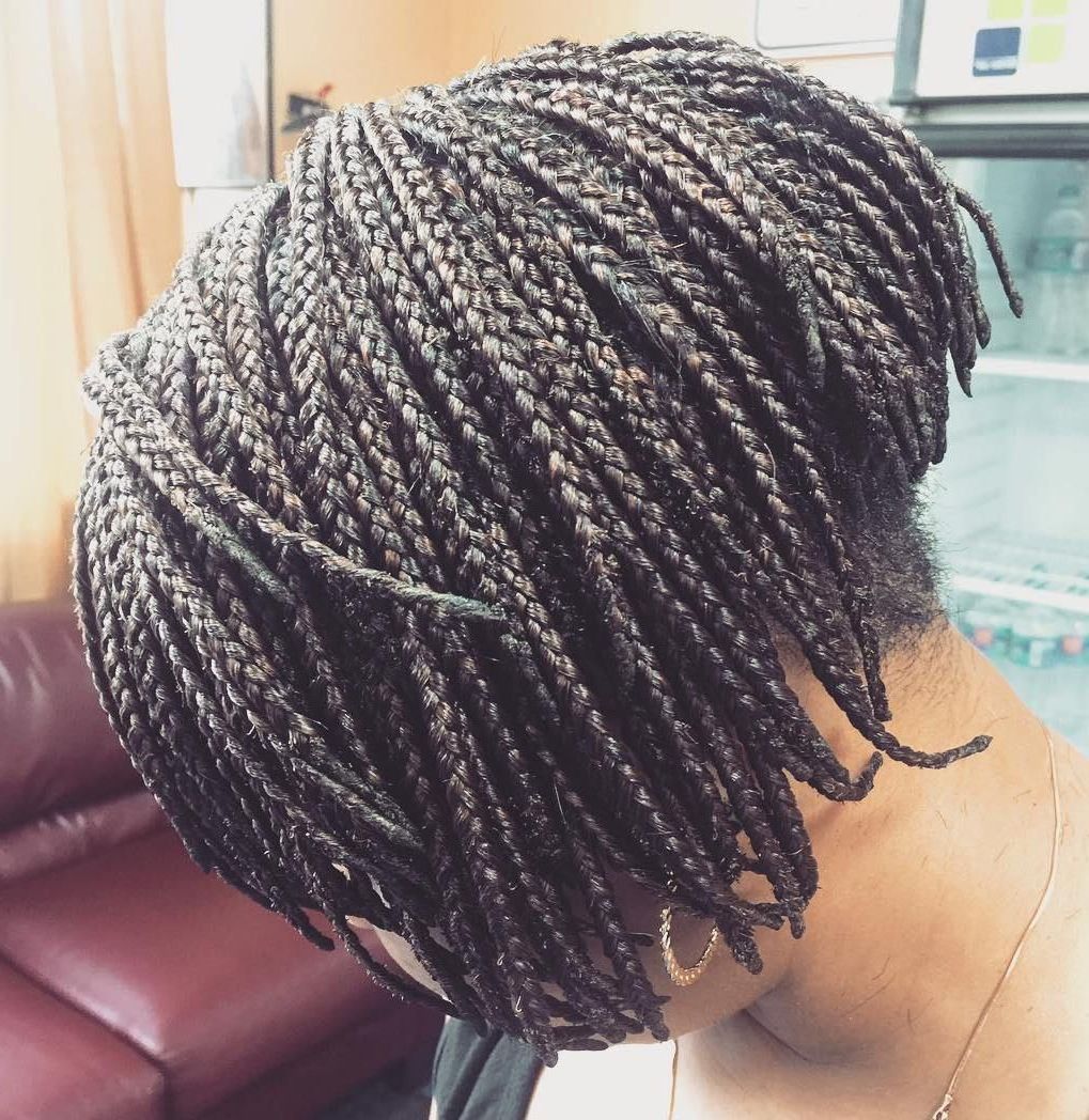 Braids In Trendy Short Stacked Bob Micro Braids (View 3 of 20)