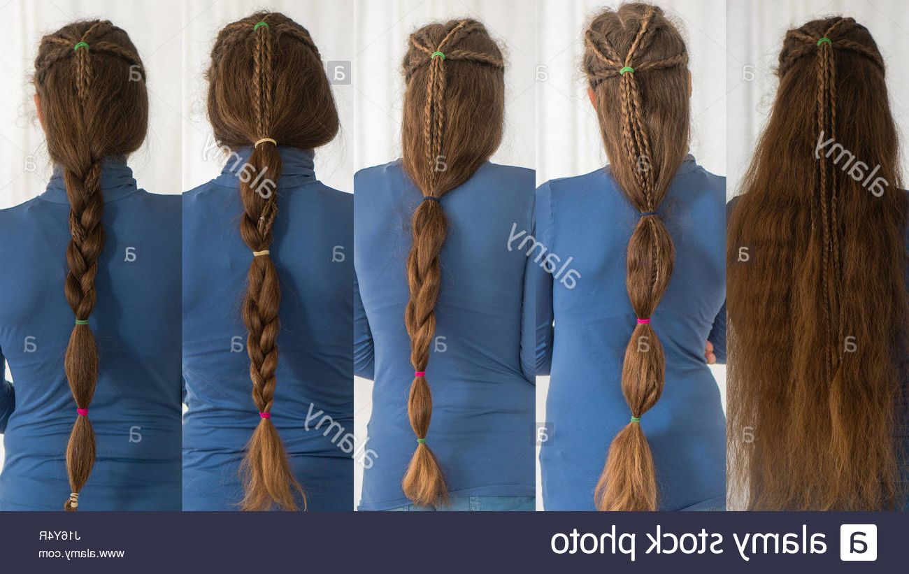 Braids Plaits Stock Photos & Braids Plaits Stock Images – Alamy With Best And Newest Renaissance Micro Braid Hairstyles (View 9 of 20)