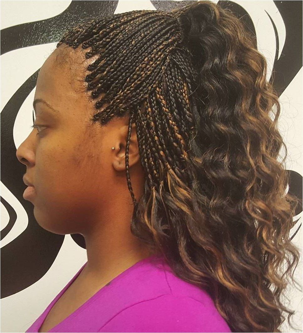 Brown Box Braids With Curls And Highlights #womensboxbraids In Recent Micro Braids Into Ringlets (View 1 of 20)