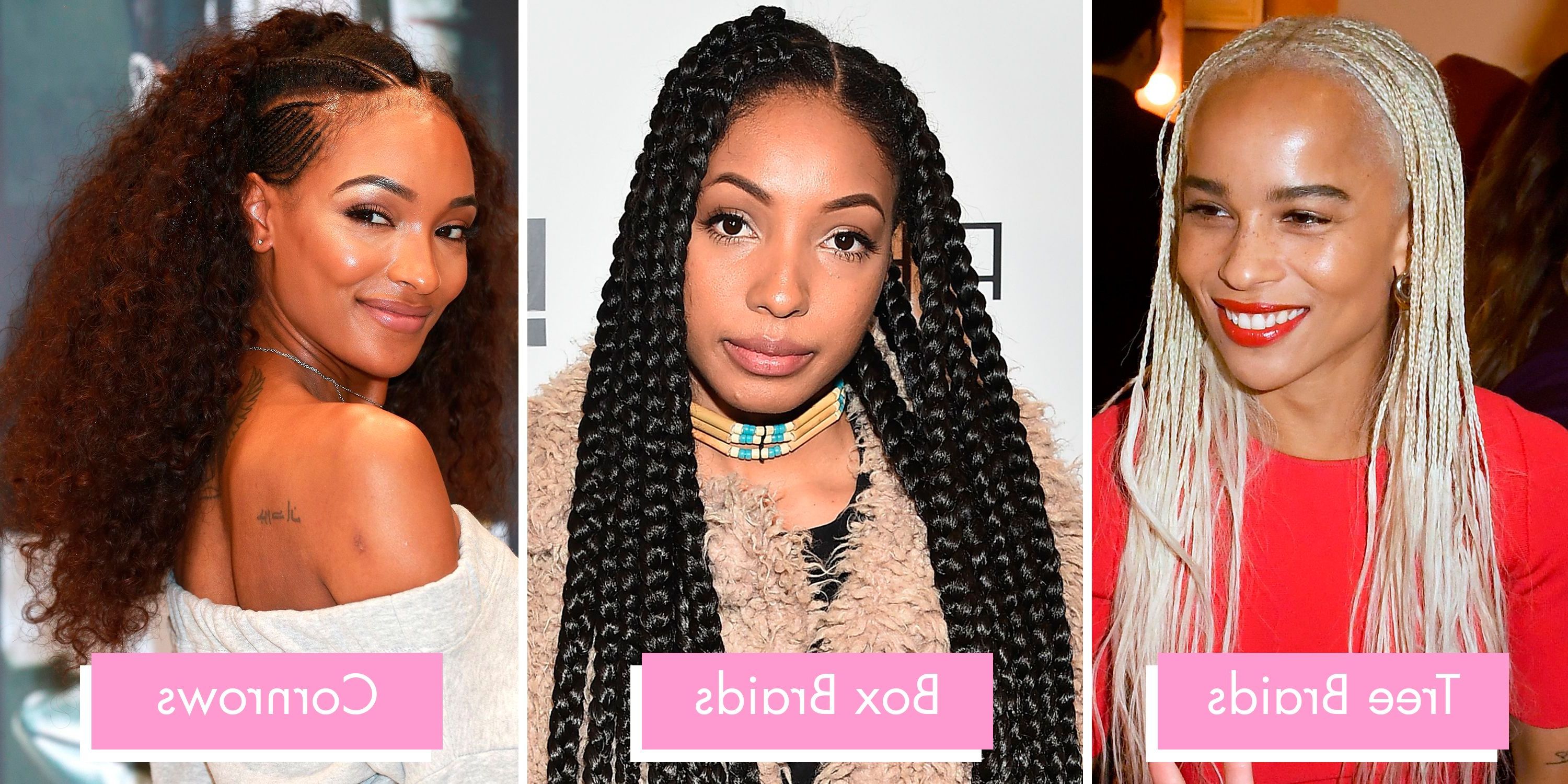 Famous Tiny Braid Hairstyles In Crop Intended For Braids And Twists 2019 – 14 Hairstyles From Crochet And Box (View 6 of 20)
