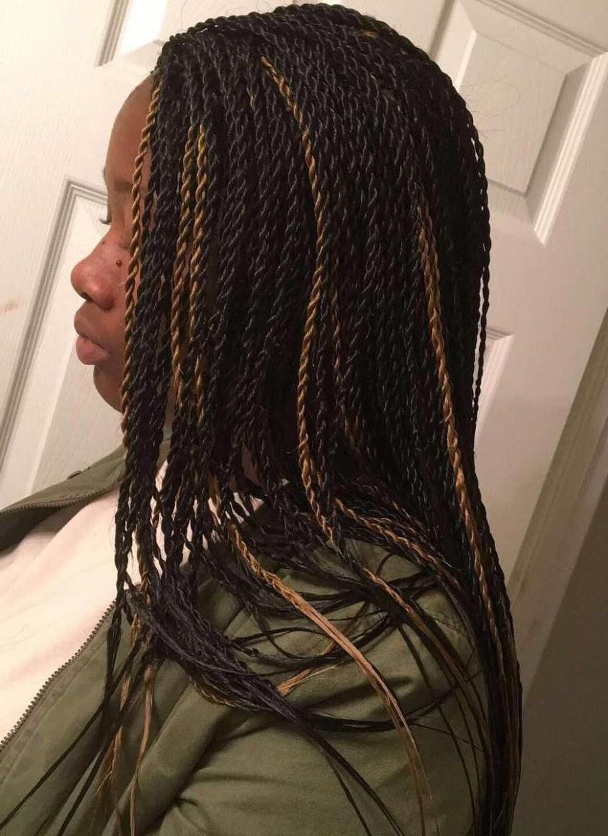 Fashionable Black Twists Micro Braids With Golden Highlights In Black Twists With Golden Highlights #senegalesetwist (View 1 of 20)