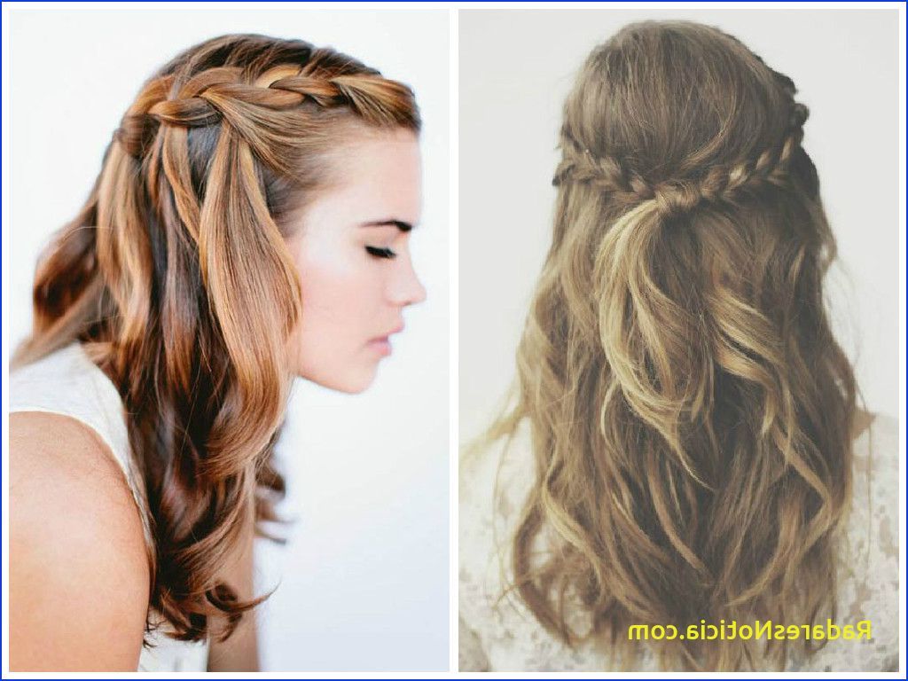 Hair Down Hairstyles With Plait The Best Crown Braid Throughout 2020 Crown Braid Hairstyles (Gallery 20 of 20)