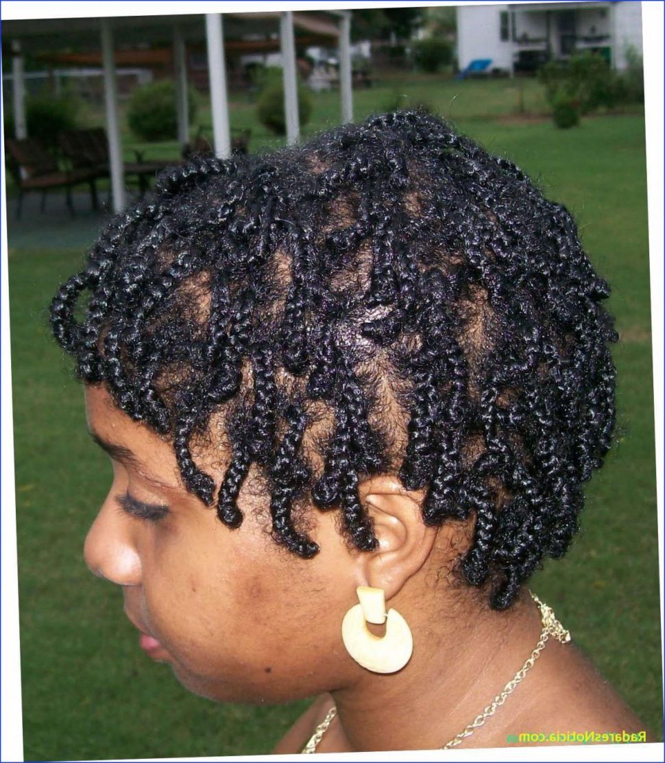 Hairstyles : Best Braided Hairstyles For Short Natural Hair For Trendy Naturally Curly Braided Hairstyles (View 14 of 20)