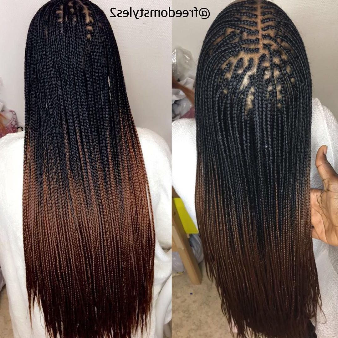 Micro Box Braids #freedomstyle #greyhair #freedom #hair Within Current Long Micro Box Braid Hairstyles (View 4 of 20)