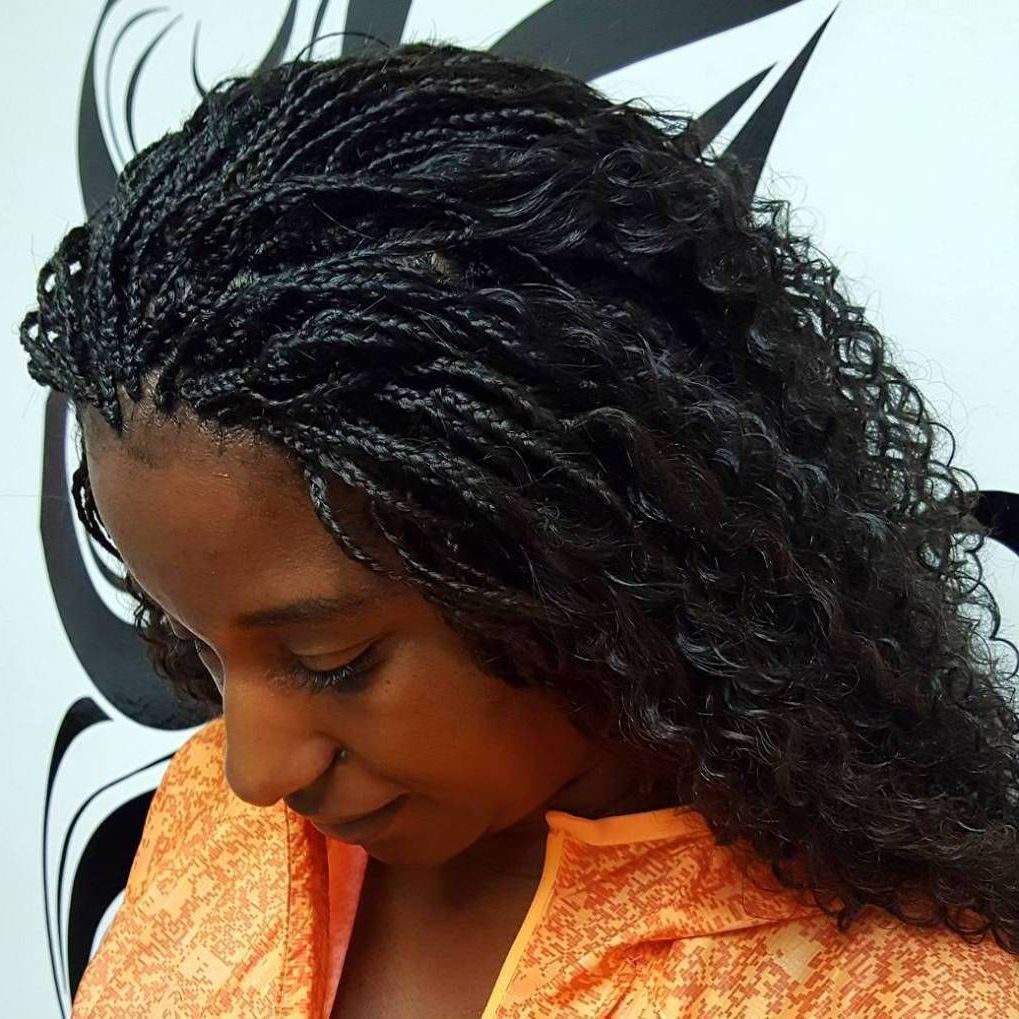 Most Popular Twists Micro Braid Hairstyles With Curls For 40 Ideas Of Micro Braids And Invisible Braids Hairstyles (View 3 of 20)