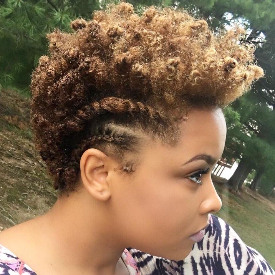 Most Recent Curly Mohawk Updo Hairstyles Inside 75 Most Inspiring Natural Hairstyles For Short Hair In  (View 13 of 20)