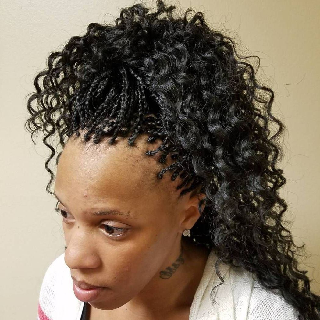 Popular Micro Braids Into Ringlets Intended For Pin On Fav Protective Styles (View 4 of 20)