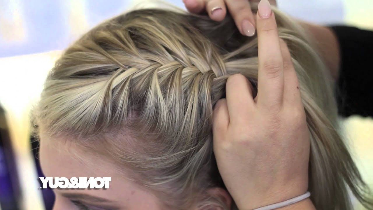 Preferred Double Rapunzel Side Rope Braid Hairstyles Pertaining To How To Braid: French Fishtail (View 17 of 20)