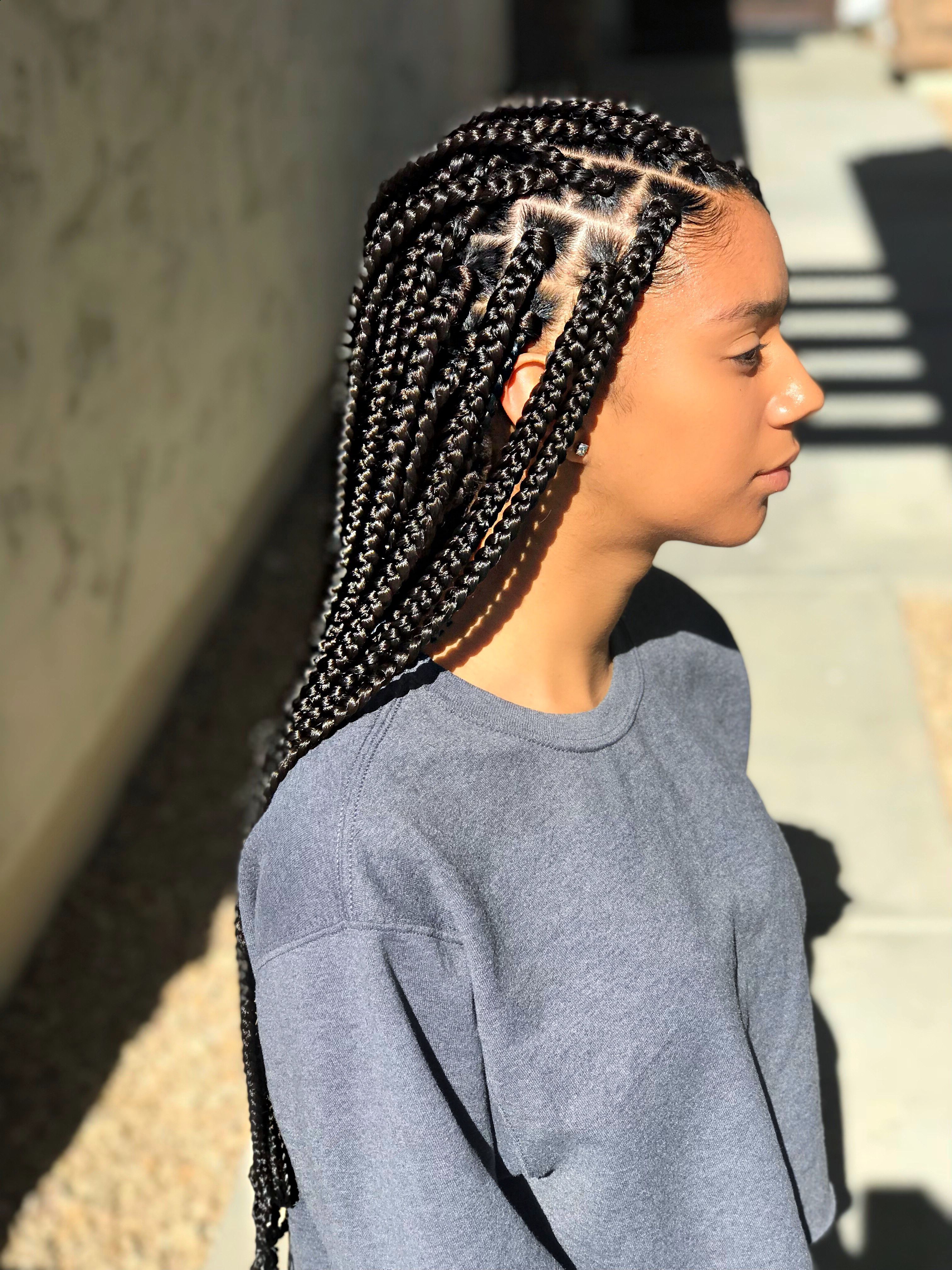 2021 Box Braids Mohawk Hairstyles With Regard To Hairstyles : Chunky Mohawk Braid With Cornrows Charming (View 16 of 20)