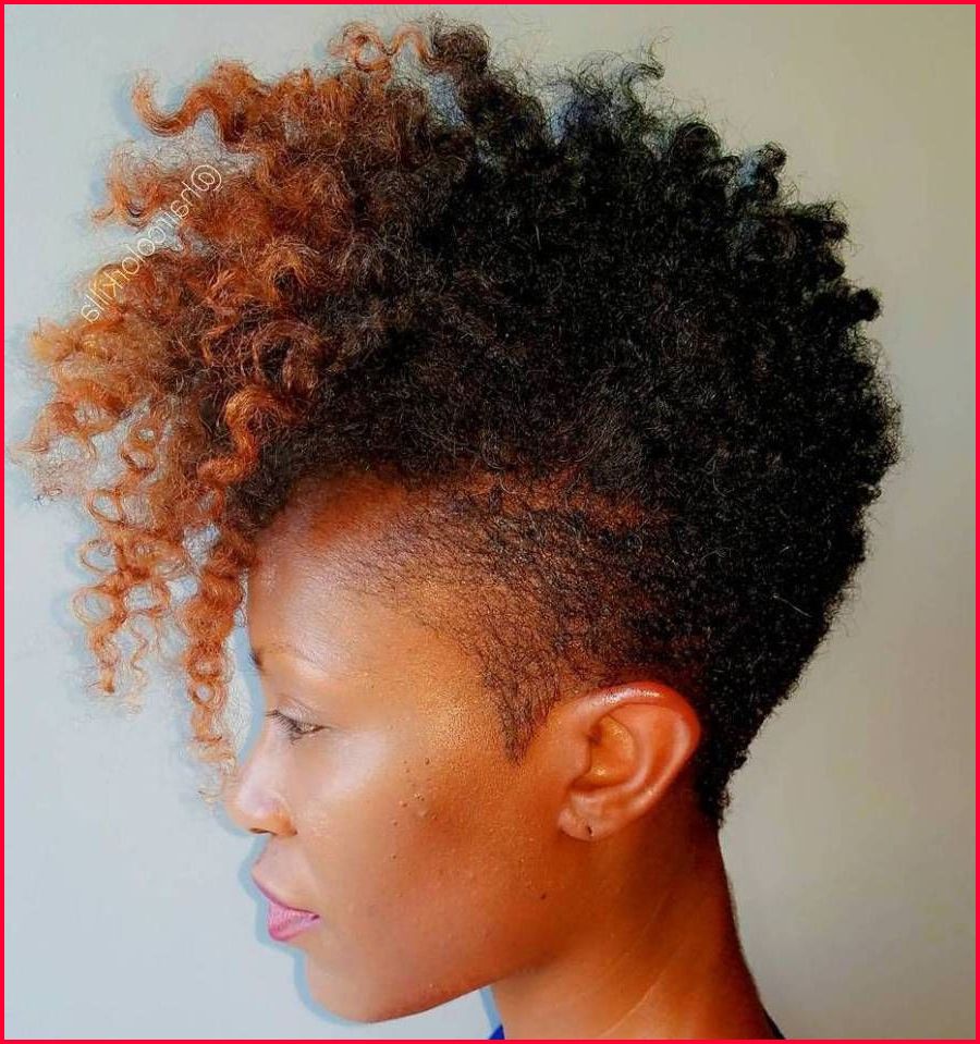 Beautiful Natural Mohawk Hairstyles Photos Of Braided Pertaining To Most Popular Braided Mohawk Hairstyles With Curls (View 12 of 20)