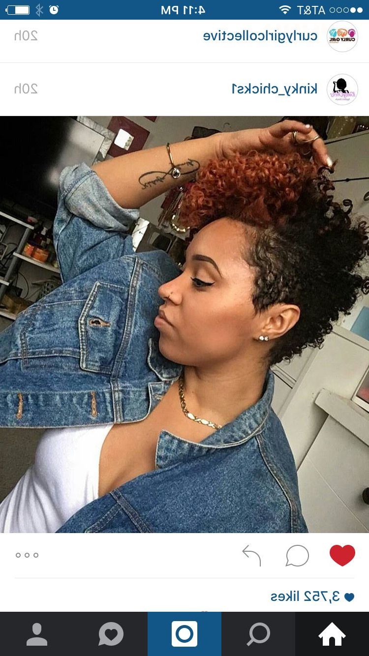 Best And Newest Curly Beach Mohawk Hairstyles Regarding Pin On Natural Hair (View 6 of 20)