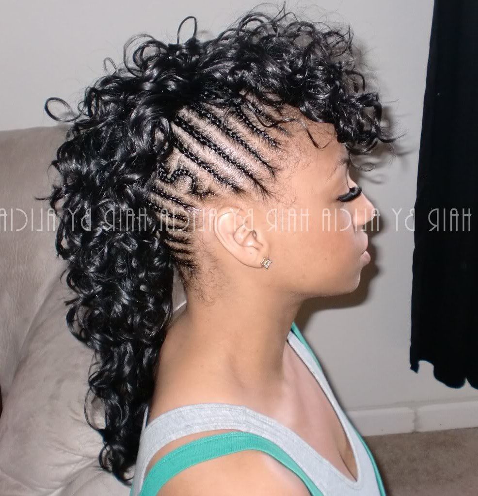 Favorite Full Braided Mohawk Hairstyles Pertaining To Braided Sides Mohawk (View 5 of 20)